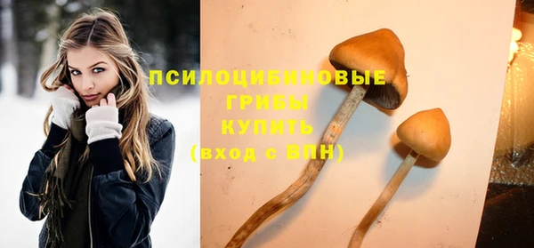 ГАЛЛЮЦИНОГЕННЫЕ ГРИБЫ Краснослободск