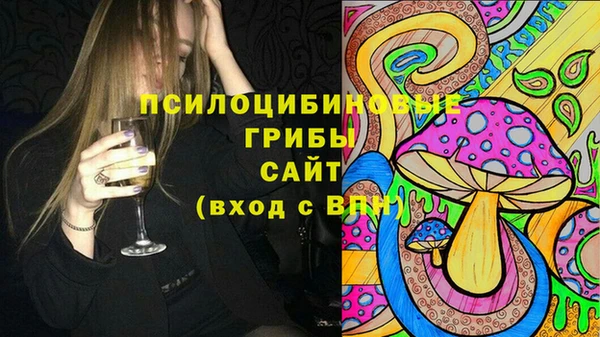 ГАЛЛЮЦИНОГЕННЫЕ ГРИБЫ Краснослободск