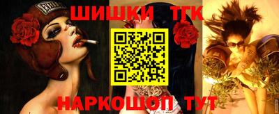 твердый Заводоуковск