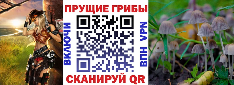 Псилоцибиновые грибы прущие грибы  Магнитогорск 