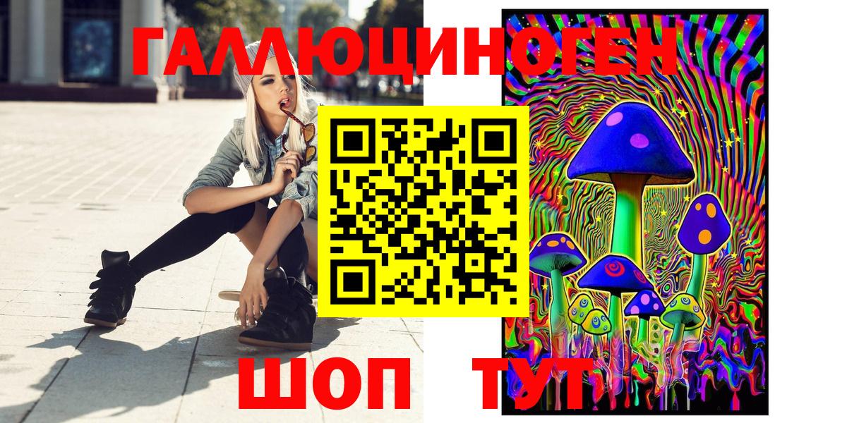 Псилоцибиновые грибы Cubensis Магнитогорск